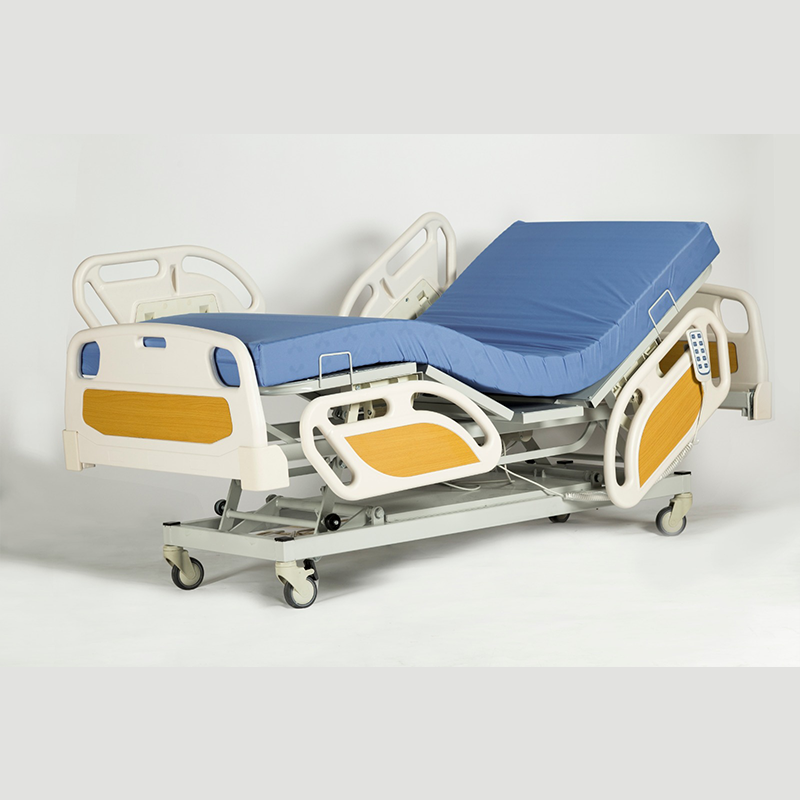  3 Motorlu ABS Plastik Başlıklı ve Korkuluklu Hasta Karyolası